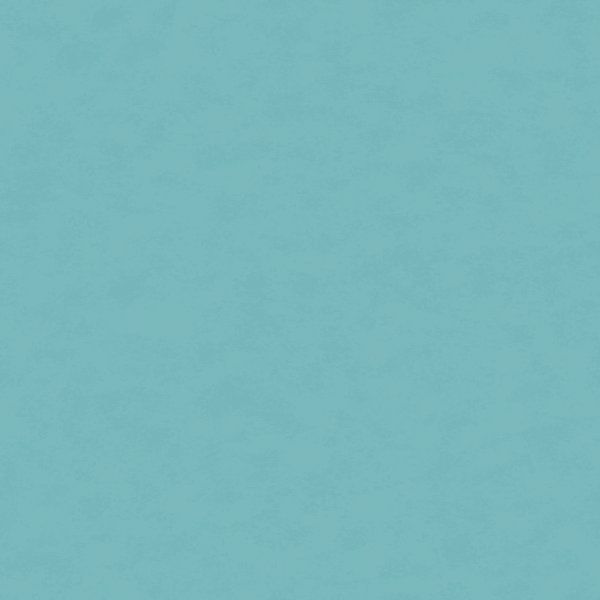 VB Aurora Primavera Unicorns HGK 1